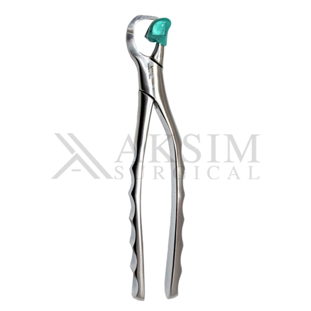 Physics Extraction forceps