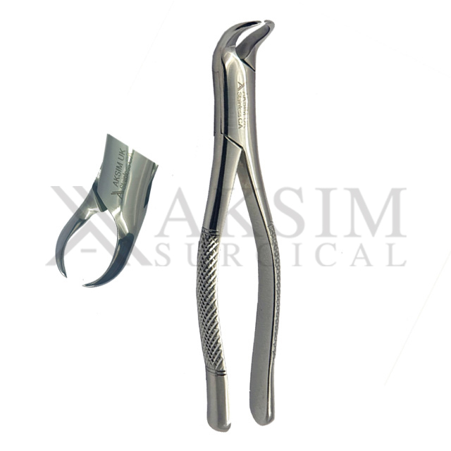 Tooth Extraction forceps